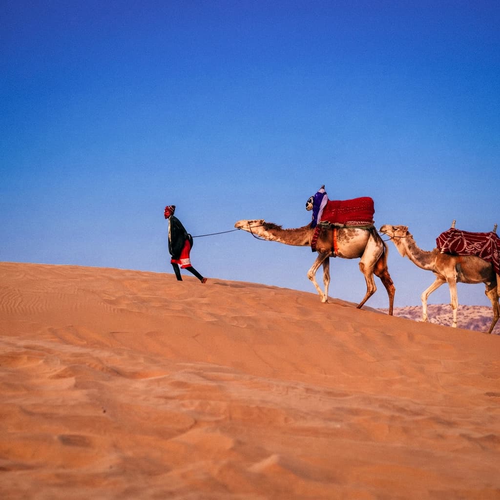 Expérience caravane à dos de chameau 1